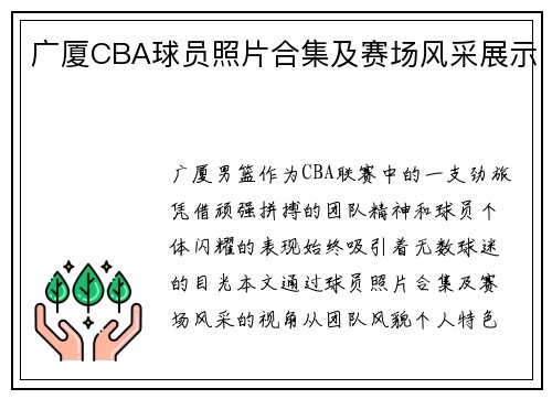 广厦CBA球员照片合集及赛场风采展示